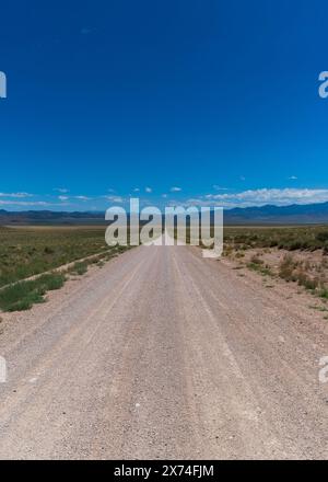 Belles montagnes Nevada Open Space en été, États-Unis Banque D'Images