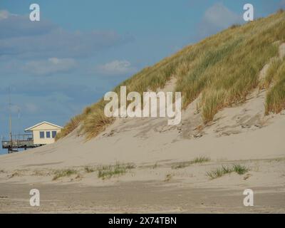 Vue sur les dunes de sable herbeuses avec une petite maison en arrière-plan, nuages sur la plage avec des dunes au bord de la mer, hollum, ameland, pays-bas Banque D'Images