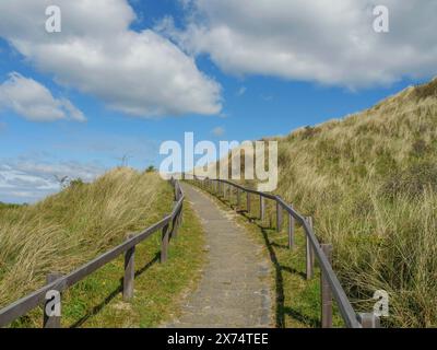 Étroit chemin sinueux avec des garde-corps en bois à travers des dunes herbeuses sous un ciel bleu avec des nuages, des dunes et des sentiers sur la mer des Wadden, nuages dans le ciel Banque D'Images