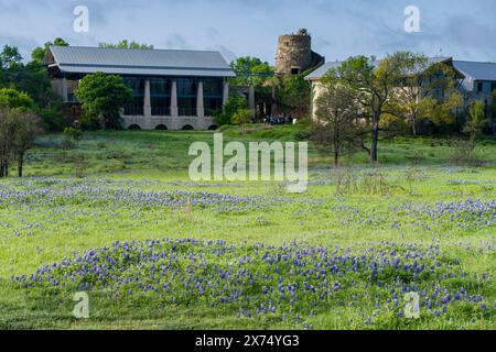 Texas bluebonnets (Lupinus texensis) et Visitor Center au Ladybird Johnson Wildflower Center à Austin Texas. Banque D'Images