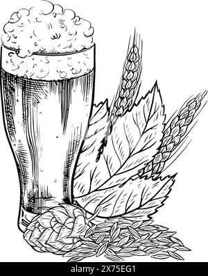 Houblon, malt, verre à bière et tasse à bière. Illustration vectorielle dessinée à la main en noir et blanc sur un fond blanc. Un élément de design pour un pub ou un restaurant moi Illustration de Vecteur