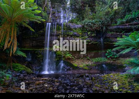 Russell Falls, parc national du mont Field, Tasmanie Banque D'Images