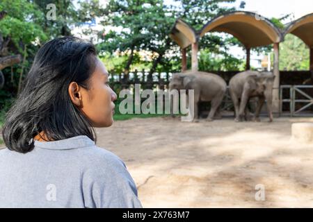 Une jeune femme regarde les éléphants dans le zoo Banque D'Images