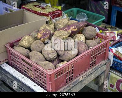 Jakarta, Indonésie - 6 mai 2024 : gros plan de patates douces dans une boîte en plastique avec d'autres aliments en arrière-plan Banque D'Images