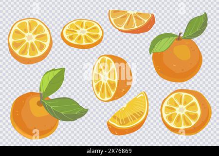 Fruits d'oranges juteuses fraîches dans le style de bande dessinée. Set de délicieuse orange coupée en morceaux isolé sur transparent. Fruits bio pour jus de limonade, vitami Illustration de Vecteur