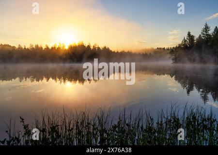 Le petit lac des landes, étang de la Gruère dans le canton suisse du Jura. Humeurs matinales juste avant et après le lever du soleil Banque D'Images