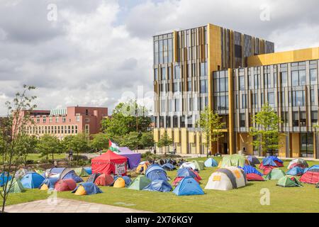 Manifestants pro-palestiniens dans environ 40 tentes installées à l'Université de Birmingham. Les étudiants protestent contre la guerre du Hamas en Israël. Banque D'Images