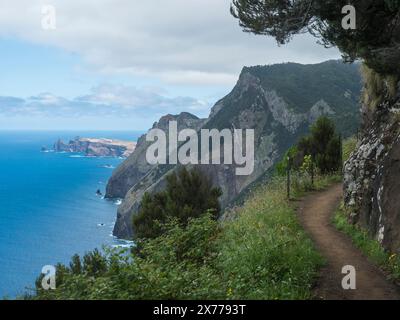 Vues depuis le sentier de randonnée côtier Vereda do Larano. Falaises Océan atlantique et végétation tropicale verte. Île de Madère, Portugal, Europe Banque D'Images