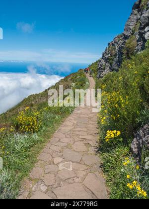 Randonneurs touristiques marchant sur le sentier pavé, sentier de randonnée PR1.2 de Achada do Teixeira à la montagne Pico Ruivo, le plus haut sommet de Madère, Portugal Banque D'Images