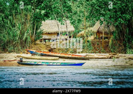Maisons le long de la rivière Manu en Amazonie péruvienne. Banque D'Images