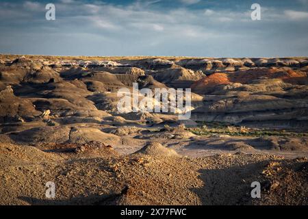 Le paysage sculpté par le vent et l'eau des Bisti Badlands (de-na-zin) au Nouveau-Mexique. Banque D'Images