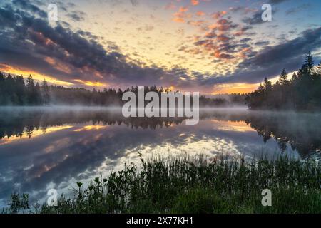 Le petit lac des landes, étang de la Gruère dans le canton suisse du Jura. Humeurs matinales juste avant et après le lever du soleil Banque D'Images