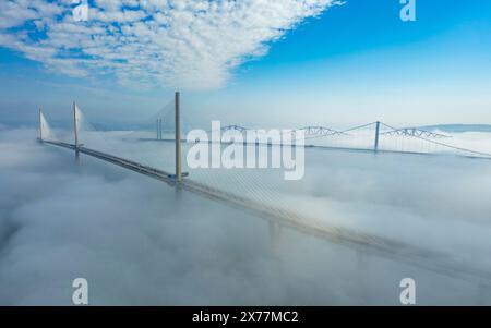 South Queensferry, Écosse, Royaume-Uni. 18 mai 2024. Vue aérienne du Queensferry Crossing Bridge et des deux autres Forth Bridges partiellement cachés par le brouillard marin du matin ou haar. Iain Masterton/Alamy Live News Banque D'Images