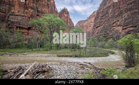 La rivière Virgin serpente dans un profond canyon du parc national de Zion dans l'Utah, USA le 26 avril 2024 Banque D'Images