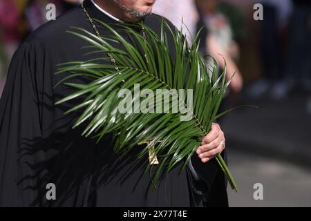 Des prêtres orthodoxes roumains tenant des feuilles de palmier marchent dans les rues de Bucarest lors d'une procession de pèlerinage le dimanche des Rameaux. Banque D'Images