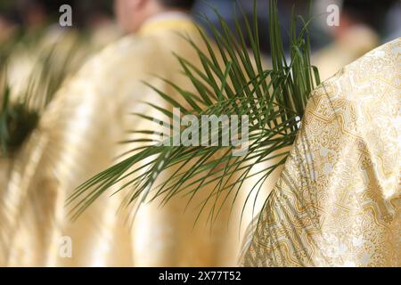 Des prêtres orthodoxes roumains tenant des feuilles de palmier marchent dans les rues de Bucarest lors d'une procession de pèlerinage le dimanche des Rameaux. Banque D'Images