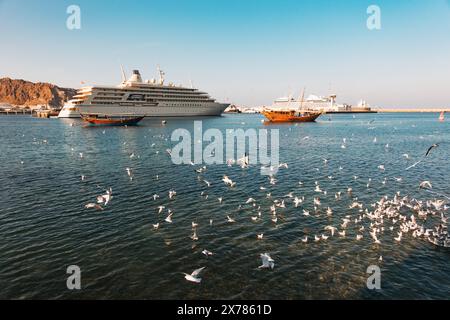 Un superyacht appartenant au sultan d'Oman amarré dans le port du sultan Qaboos, Muscat, Oman. Un boutre en bois est ancré devant avec un troupeau de mouettes Banque D'Images