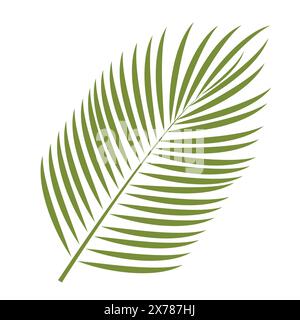 Feuille de palmier vecteur. Vecteur tropical. Icône de vecteur tropical isolé sur fond blanc. Élément pour impression, bannière, carte, brochure, logo. Illustration de Vecteur