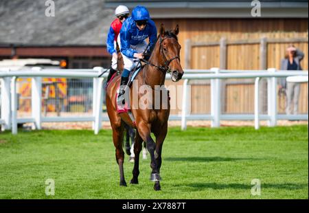 Newbury, Royaume-Uni, samedi 18 mai 2024 ; Diamond Rain et le jockey William Buick remportent les Trial Stakes du Haras de Bouquetot Fillies (listé) pour l'entraîneur Charlie Appleby et le propriétaire Godolphin. Crédit JTW Equine images / Alamy. Banque D'Images