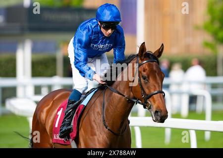 Newbury, Royaume-Uni, samedi 18 mai 2024 ; Diamond Rain et le jockey William Buick remportent les Trial Stakes du Haras de Bouquetot Fillies (listé) pour l'entraîneur Charlie Appleby et le propriétaire Godolphin. Crédit JTW Equine images / Alamy. Banque D'Images