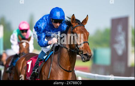 Newbury, Royaume-Uni, samedi 18 mai 2024 ; Diamond Rain et le jockey William Buick remportent les Trial Stakes du Haras de Bouquetot Fillies (listé) pour l'entraîneur Charlie Appleby et le propriétaire Godolphin. Crédit JTW Equine images / Alamy. Banque D'Images