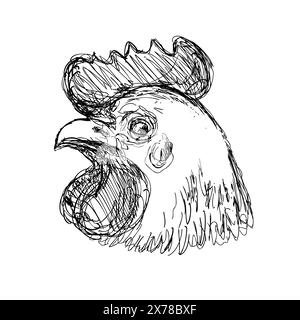 Dessin illustration de style croquis d'une tête d'un poulet ou d'une poule Leghorn vue de côté fait en noir et blanc art au trait Illustration de Vecteur