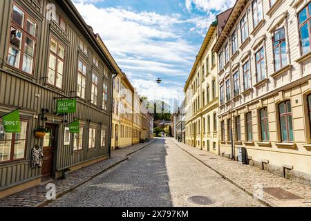 Maisons en bois du gouverneur du comté du XIXe siècle (landshövdingehus) sur Mellangatan dans le district de Haga, Gothenburg, Suède Banque D'Images