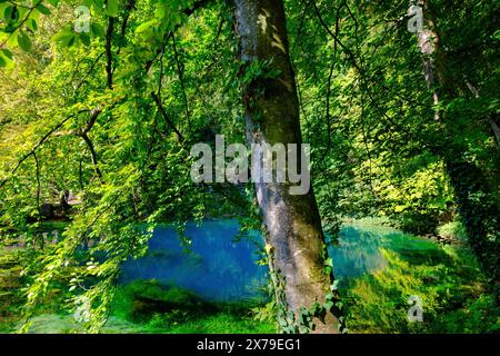 Blue Spring, karst pot, Blautopf, Blaubeuren, Souabe Alb, Bade-Wuertemberg, Allemagne Banque D'Images
