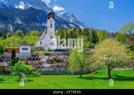 Pré de printemps avec des arbres en fleurs et église paroissiale en face de la Zugspitze 2962m dans les montagnes Wetterstein, Zugspitz village Grainau Banque D'Images