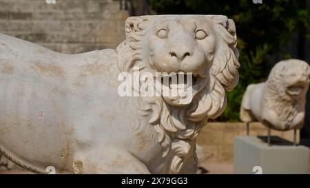 Statue en pierre d'un lion debout, exposée à l'extérieur, montrant des sculptures en pierre fine et des détails, espace extérieur, Musée archéologique, vieille ville, Rhodes Banque D'Images