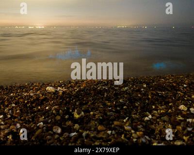 Sheerness, Kent, Royaume-Uni. 18 mai 2024. Météo Royaume-Uni : superbe bioluminescence bleue électrique vive vue à Sheerness Beach dans le Kent ce soir - la couleur est créée lorsque le plancton bioluminescent est perturbé. Les photos montrent des vagues brisées et des pierres jetées dans la mer. Crédit : James Bell/Alamy Live News Banque D'Images