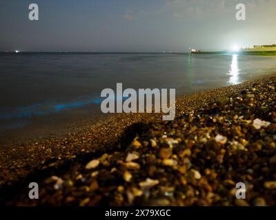 Sheerness, Kent, Royaume-Uni. 18 mai 2024. Météo Royaume-Uni : superbe bioluminescence bleue électrique vive vue à Sheerness Beach dans le Kent ce soir - la couleur est créée lorsque le plancton bioluminescent est perturbé. Les photos montrent des vagues brisées et des pierres jetées dans la mer. Crédit : James Bell/Alamy Live News Banque D'Images