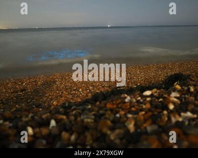 Sheerness, Kent, Royaume-Uni. 18 mai 2024. Météo Royaume-Uni : superbe bioluminescence bleue électrique vive vue à Sheerness Beach dans le Kent ce soir - la couleur est créée lorsque le plancton bioluminescent est perturbé. Les photos montrent des vagues brisées et des pierres jetées dans la mer. Crédit : James Bell/Alamy Live News Banque D'Images