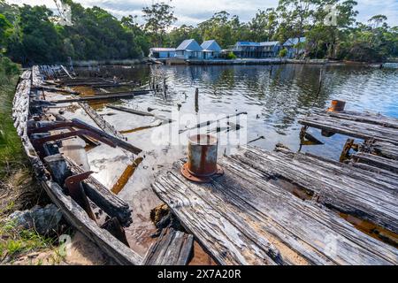 Restes de barges en bois abandonnés et pourris à Risby Cove, Strahan, côte ouest de la Tasmanie Banque D'Images