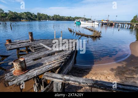 Restes de barges en bois abandonnés et pourris à Risby Cove, Strahan, côte ouest de la Tasmanie Banque D'Images