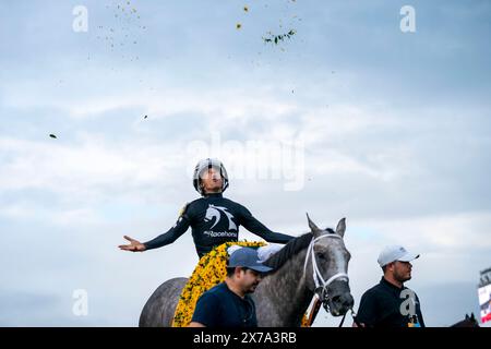 Baltimore, États-Unis. 18 mai 2024. Le jockey Jaime Torres lance Black-Eyed-Susans en l’air après avoir remporté le 149e Preakness Stakes avec seize the Grey, âgé de trois ans, au Pimlico Race course à Baltimore, Maryland, le samedi 18 mai 2024. Mystik Dan, vainqueur du Kentucky Derby, est arrivé à la deuxième place. Photo de Bonnie Cash/UPI crédit : UPI/Alamy Live News Banque D'Images