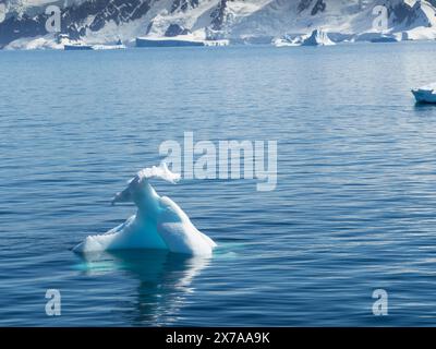 Petits icebergs 'Growler' dans le passage Croker entre deux îles Hummock et Liège, archipel Palmer, Antarctique Banque D'Images