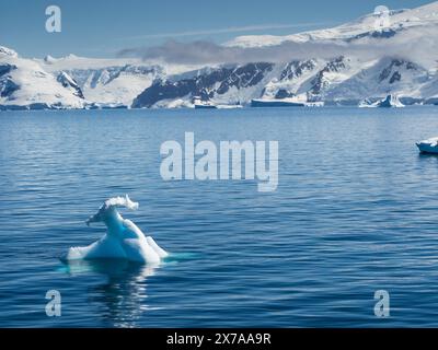 Petits icebergs 'Growler' dans le passage Croker entre deux îles Hummock et Liège, archipel Palmer, Antarctique Banque D'Images