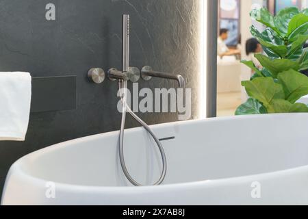 Combinaison moderne douche et baignoire conçue pour le luxe et la commodité, elle dispose d'un élégant boîtier en verre, luminaire contemporain Banque D'Images