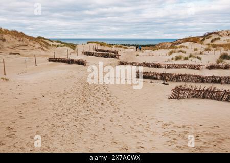 Empreintes d'un sentier de randonnée et brise-vent sur les dunes de sable de l'Spit de Courlande, Lituanie Banque D'Images