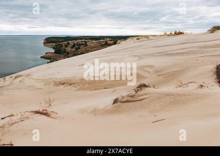 Vue sur la forêt et les dunes de sable de l'Spit de Courlande, un parc national protégé par l'UNESCO en Lituanie Banque D'Images