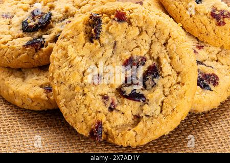 Pile extrême gros plan de flocons d'avoine circulaires croustillants faits maison et biscuits aux canneberges sur la toile du sac. Banque D'Images