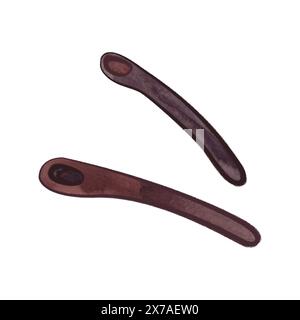 Deux cuillères en bois foncé dans le style croquis. Clipart. Illustration aquarelle isolée sur fond blanc pour la conception de menus, de thé et de cafés Banque D'Images