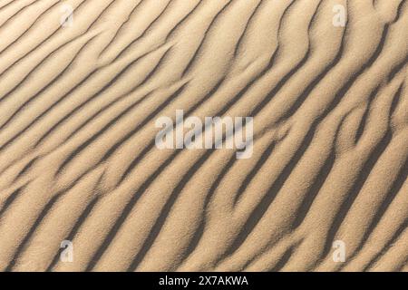 dunes de texture de sable, mise au point sélective, flou, arrière-plan, paix et tranquillité Banque D'Images