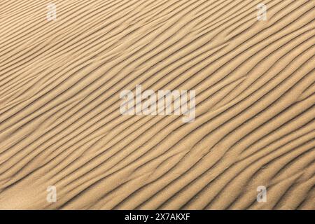 dunes de texture de sable, mise au point sélective, flou, arrière-plan, paix et tranquillité Banque D'Images