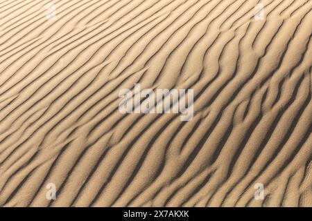 dunes de texture de sable, mise au point sélective, flou, arrière-plan, paix et tranquillité Banque D'Images