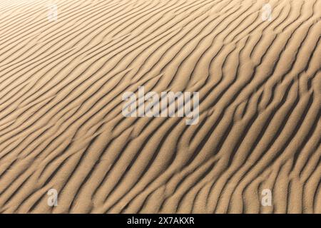 dunes de texture de sable, mise au point sélective, flou, arrière-plan, paix et tranquillité Banque D'Images