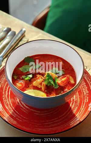 Soupe thaïlandaise épicée tom yum dans un bol coloré avec cadre de salle à manger Banque D'Images