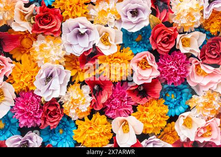 Mur de couleurs vives. Fond de nombreuses fleurs de différentes couleurs. Texture florale pour le design. Photo de haute qualité Banque D'Images