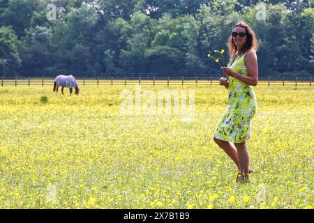 Alphington près d'Exeter, Devon, Royaume-Uni. 19 mai 2024. Météo Royaume-Uni : Buttercups et soleil à Alphington près de Exeter, Devon. Raich Keene sur la photo. Crédit : Nidpor/Alamy Live News Banque D'Images